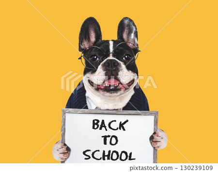 Back to school. Cute puppy and signboard with inscription 130239109