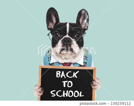 Back to school. Cute puppy and signboard with inscription 130239112