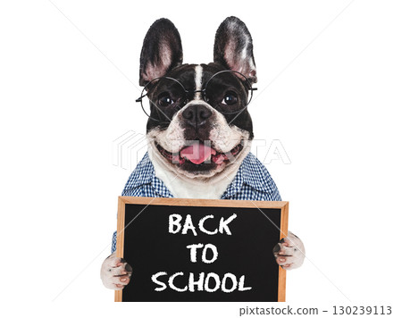 Back to school. Cute puppy and signboard with inscription 130239113