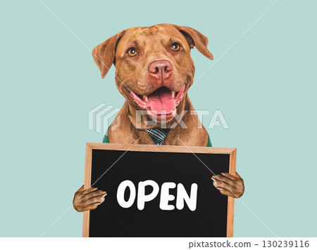 Cute dog and signboard with inscription OPEN Cute dog and signboard with inscription OPEN 130239116