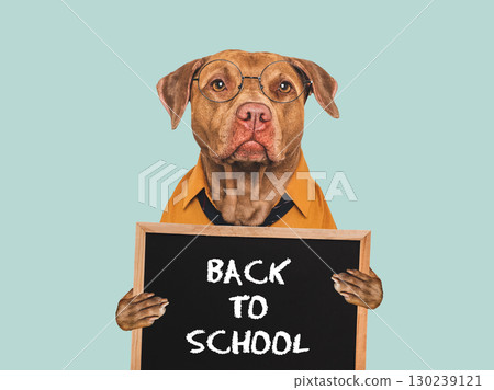 Back to school. Cute dog and signboard with inscription 130239121