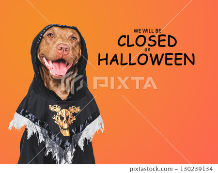 Signboard with the inscription We will be closed on Halloween 130239134