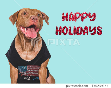 Happy Holidays. Lovable dog and congratulatory inscription 130239145