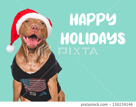 Happy Holidays. Lovable dog and congratulatory inscription Happy Holidays. Lovable dog and congratulatory inscription 130239146