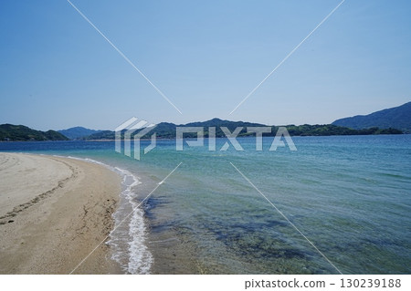 美麗的大海和海灘 130239188