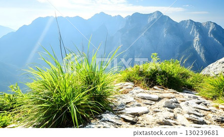Lush Green Grass Overlooking Misty Mountain Peaks on a Sunny Day 130239681