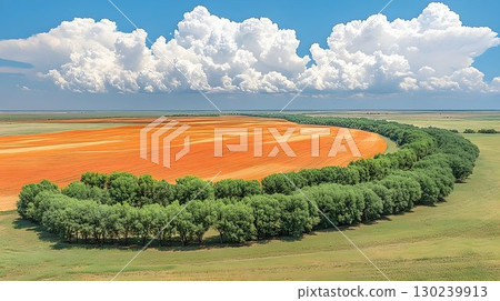 Aerial View of Lush Green Trees Bordering a Vibrant Orange Field 130239913