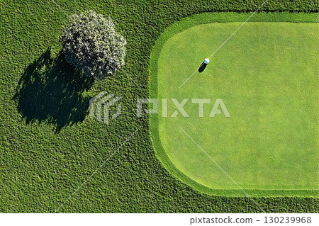 Aerial view of a golf green with a ball and tree casting a shado Aerial view of a golf green with a ball and tree casting a shado 130239968