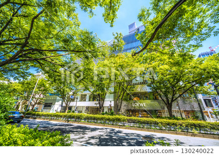 日本東京城市景觀，俯瞰東京表參道鬱鬱蔥蔥的綠色植物 130240022