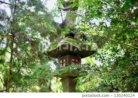 Mossy stone lantern and green forest (traditional Japanese landscape) 130240124