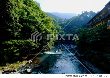 Mountain streams and lush green mountain scenery (Hakone) 130240127