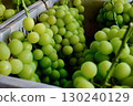 Fresh Shine Muscat grape bunch (close-up) 130240129