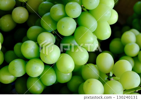 Fresh Shine Muscat grape bunch (close-up) 130240131