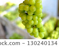 Fresh Shine Muscat grape bunch (close-up) 130240134