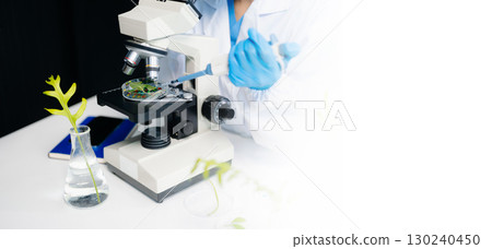 Food science as lab scientists test and analyze vegetables for safety and quality using advanced technology 130240450