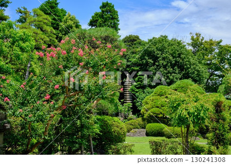 葛飾柴又帝釋天水景園 130241308