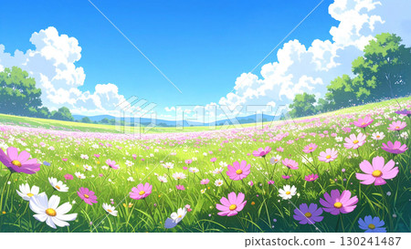 波斯菊草原藍天 130241487