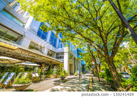 日本東京城市景觀,俯瞰東京表參道鬱鬱蔥蔥的綠色植物 日本東京城市景觀,俯瞰東京表參道鬱鬱蔥蔥的綠色植物 130241489