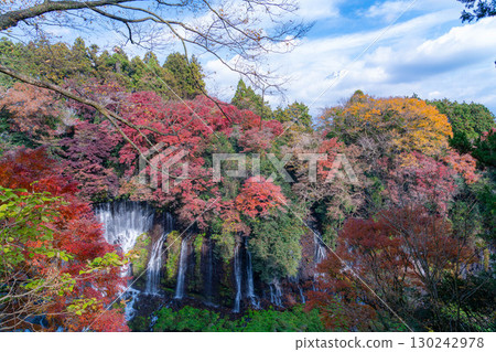 [Autumn foliage] Shiraito Falls in Fujinomiya City in autumn and Mount Fuji peeking through the clouds [Shizuoka Prefecture] 130242978