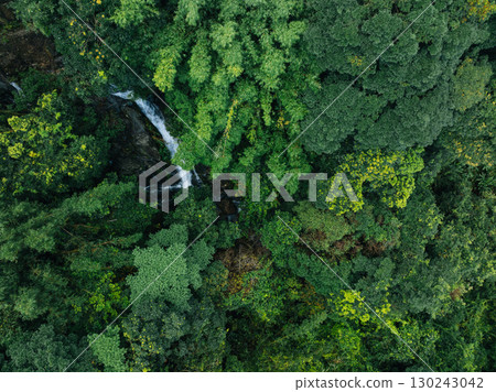 Aerial view of beautiful tropical forest mountain landscape in summer 130243042