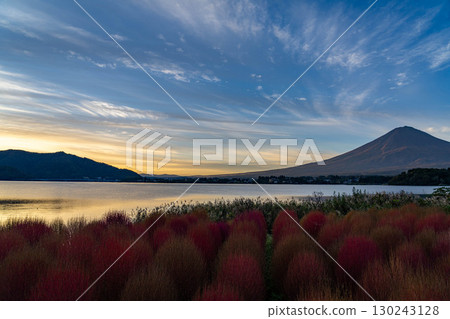 [富士山素材]早上從河口湖看到的秋葉地膚和富士山[山梨縣] 130243128