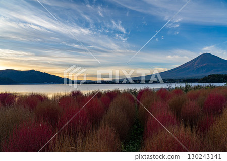 [富士山素材]早上從河口湖看到的秋葉地膚和富士山[山梨縣] 130243141