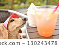 A dog craving ice cream 130243478