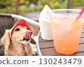 A dog craving ice cream 130243479