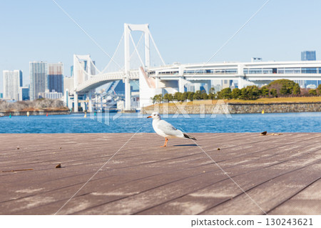 從台場海濱公園看到的彩虹橋和海鷗 從台場海濱公園看到的彩虹橋和海鷗 130243621