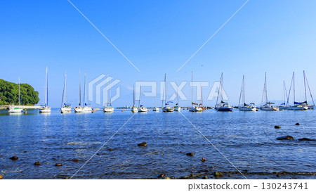 從古尾看到的富士山和遊艇 130243741