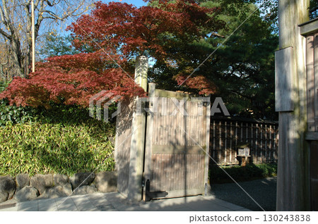 Old Japanese house / Autumn image of a luxury inn (Autumn image of a luxury restaurant) Old Japanese house / Autumn image of a luxury inn (Autumn image of a luxury restaurant) 130243838