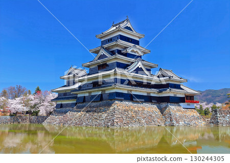 【長野縣】春季櫻花盛開的松本城天守閣（現存天守閣） 130244305