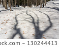 Beech forest with long shadows of trees on the snow 130244413