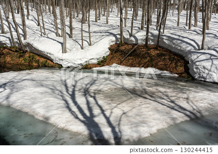 Long shadows of trees stretching over a pond covered in snow in a beech forest 130244415