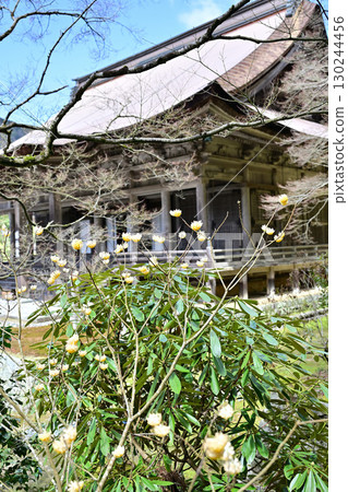 Kyoto Kaseiin 130244456