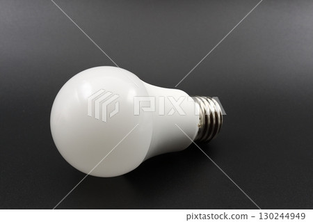 LED Light Bulb 130244949