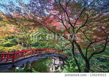 群馬縣澀川市河鹿橋秋天的伊香保溫泉 群馬縣澀川市河鹿橋秋天的伊香保溫泉 130245015