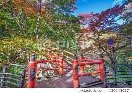 群馬縣澀川市河鹿橋秋天的伊香保溫泉 130245017