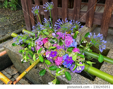 花築梅 花築梅 130245051