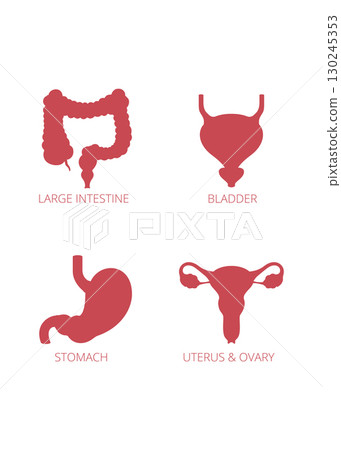 Set of icons of human organs vector illustration stock illustration Set of icons of human organs vector illustration stock illustration 130245353