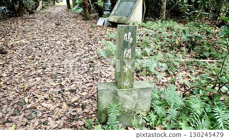 Scenery of Hatoma Nakamori on Hatoma Island in the Yaeyama Islands, Okinawa Prefecture 130245479
