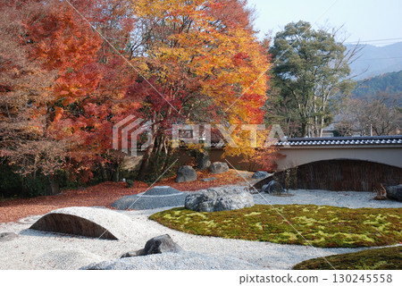 Karesansui style garden Autumn leaves in a Japanese garden, an image of a trip to Kyoto in autumn 130245558