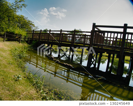 Landscape at the waterside 130245649