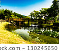 Landscape at the waterside 130245650