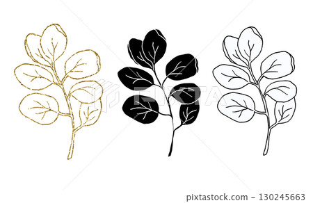 Eucalyptus leaves line art, silhouette and glitter simple hand drawn vector illustration set, isolate on white background 130245663
