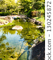 Landscape at the waterside 130245872