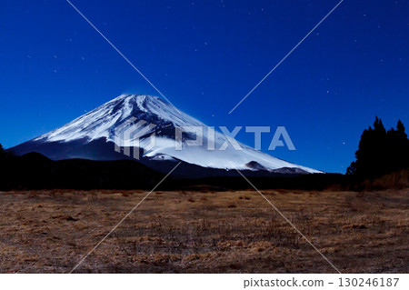 The fantastic Mount Fuji and the grasslands at its base The fantastic Mount Fuji and the grasslands at its base 130246187