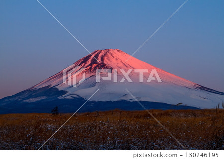 Mount Fuji in the early morning, beautifully dyed red Mount Fuji in the early morning, beautifully dyed red 130246195