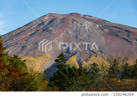 Colorful morning rock faces and trees of Mount Fuji Colorful morning rock faces and trees of Mount Fuji 130246204