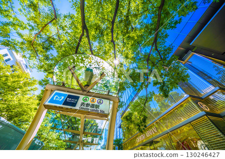 日本東京城市景觀,俯瞰東京表參道鬱鬱蔥蔥的綠色植物 日本東京城市景觀,俯瞰東京表參道鬱鬱蔥蔥的綠色植物 130246427